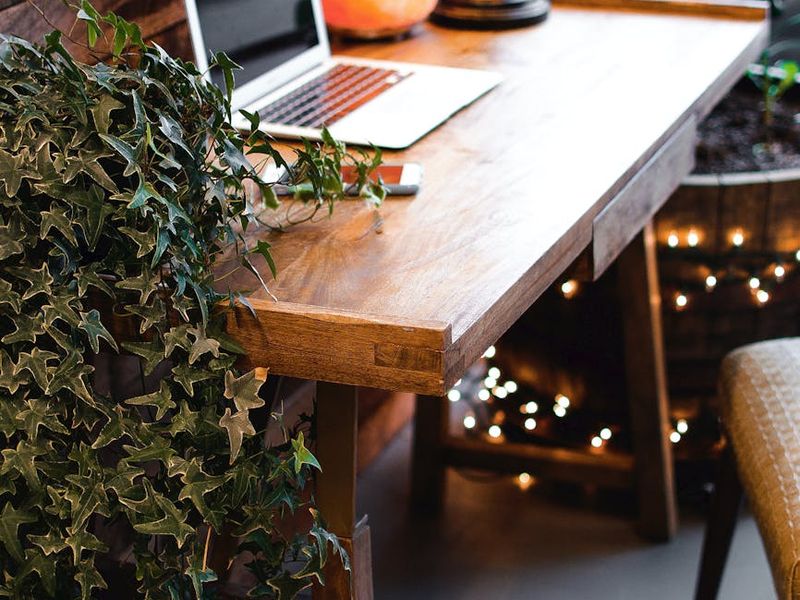Minimalist workspace with warm lighting and a green plant
